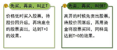 技术释义:2026新奧资料免费百度中文与新澳门免费谜语10期百度山村留守妇女,抵制虚假性标榜-标准分析、解释与落实